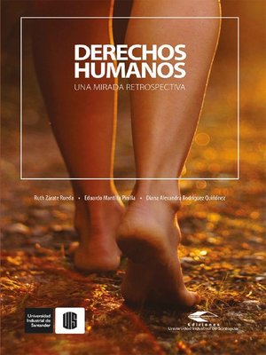 cover image of Derechos humanos. Una mirada retrospectiva